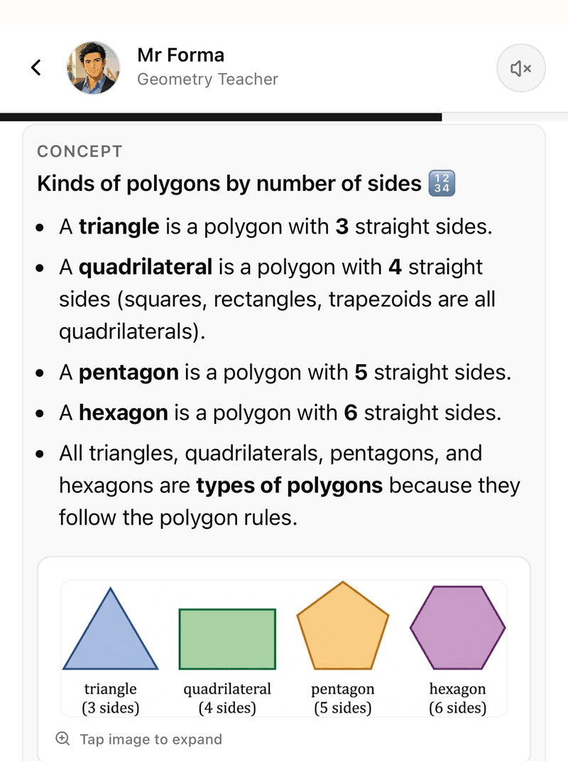 Illustrated lesson showing triangle, quadrilateral, pentagon, and hexagon shapes